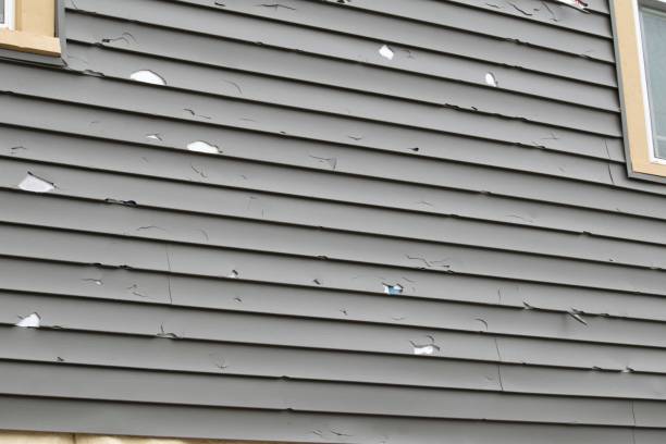 Best Wood Siding Installation  in Rusk, TX